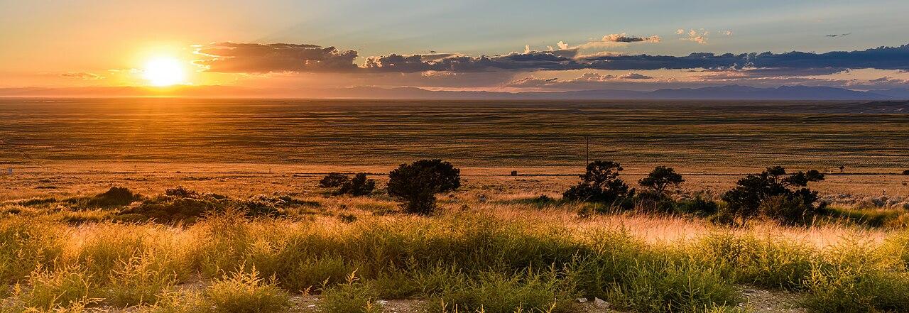The fullness of a golden sunset